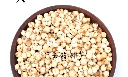 哺乳期打破伤风吗网 - 为你提供哺乳期打破伤风可以哺乳吗、哺乳期打玻尿酸对宝宝有影响吗